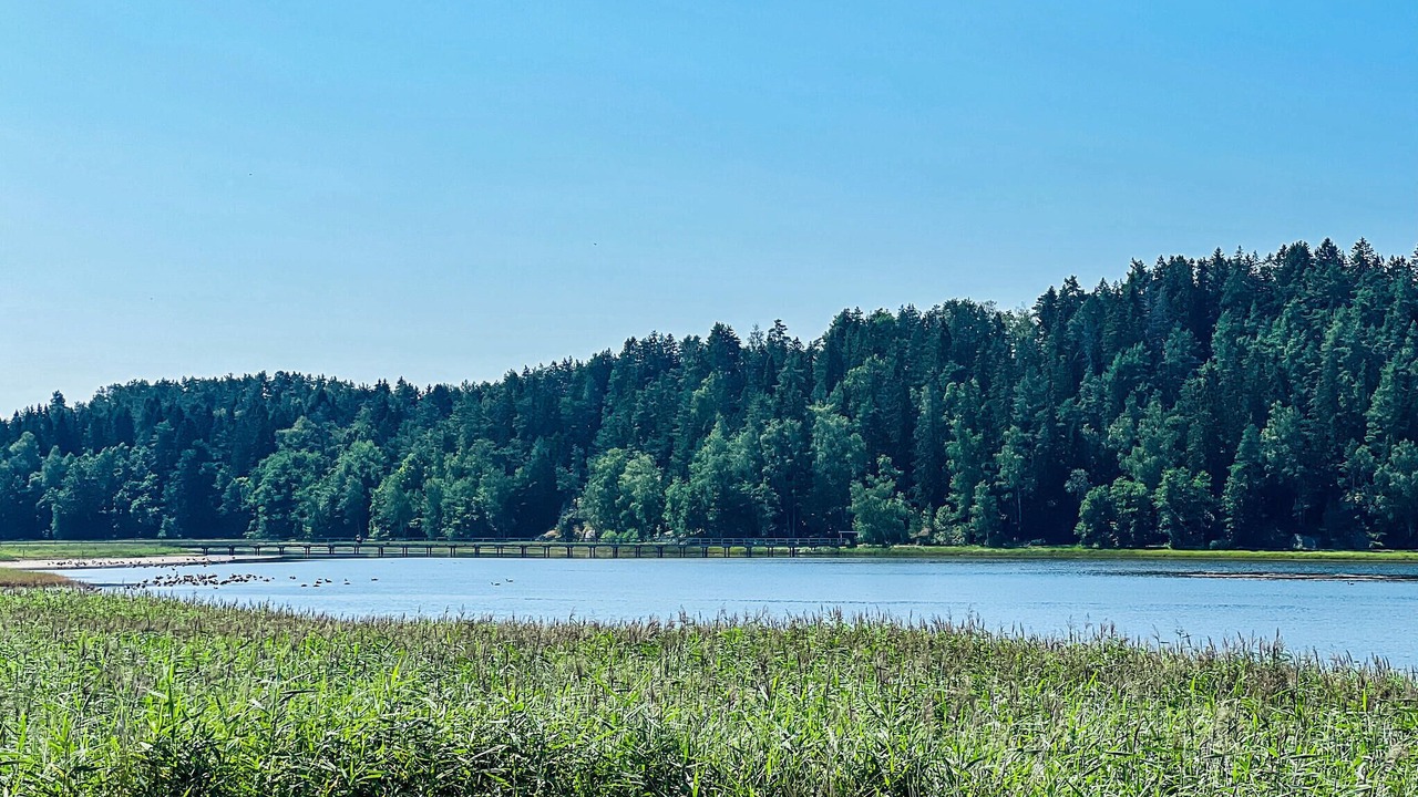 Photo of Others in Ljungskile