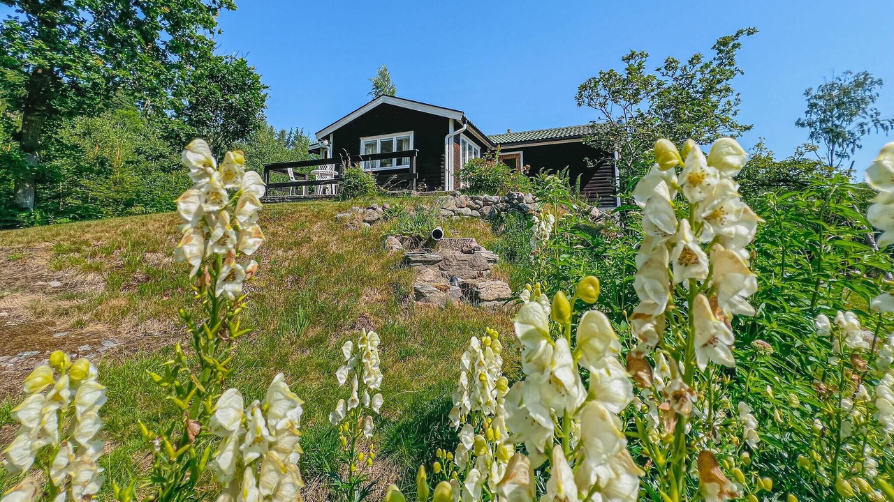 Photo of Others in Ljungskile