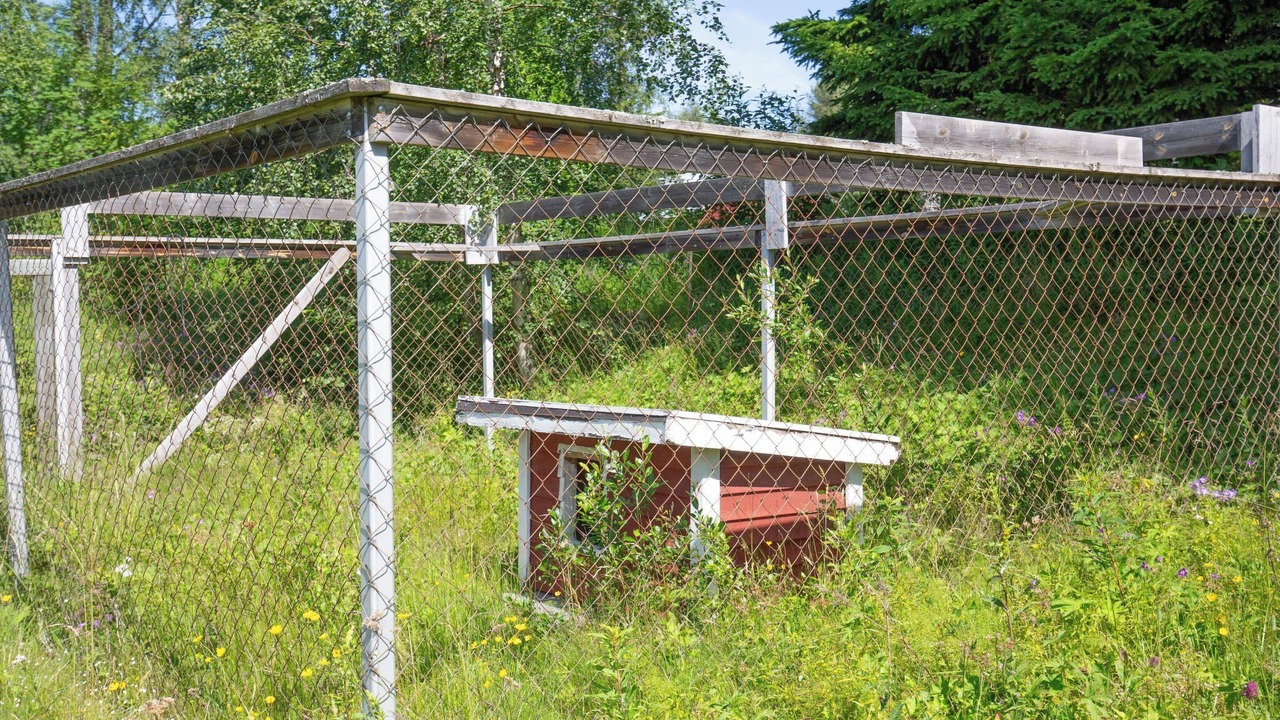 Photo of Outdoor in Harjedalen