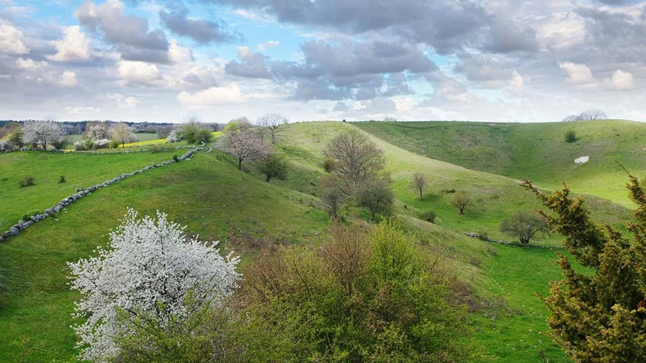 Photo of Others in Listarum