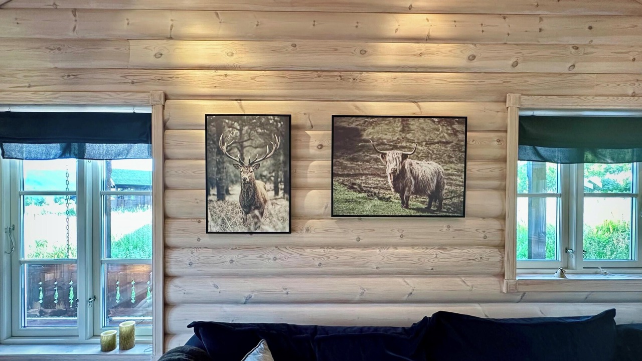 Photo of Livingroom in Tyinkrysset