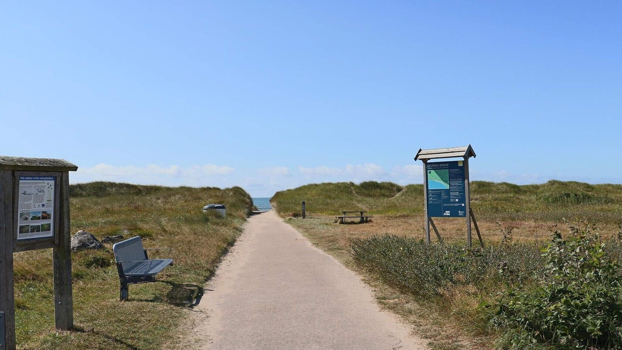 Photo of Others in Falkenberg