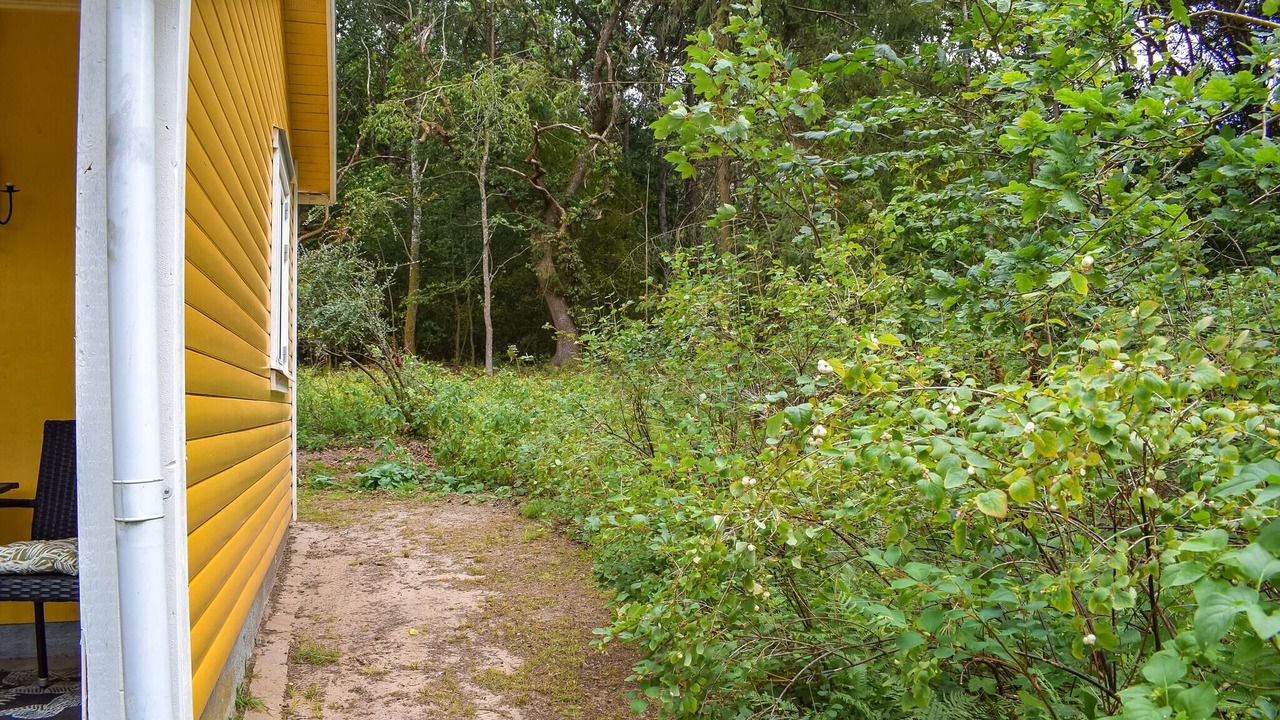 Photo of Others in Blentarp