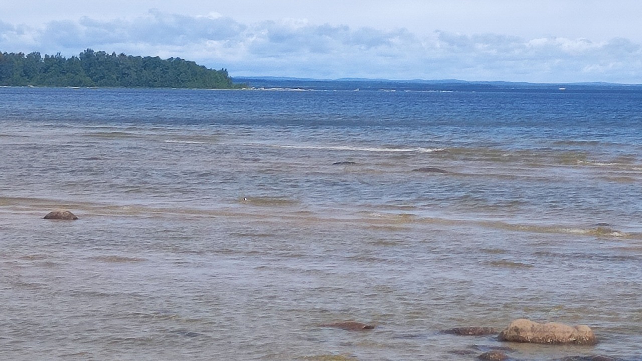 Photo of Others in Mellerud O