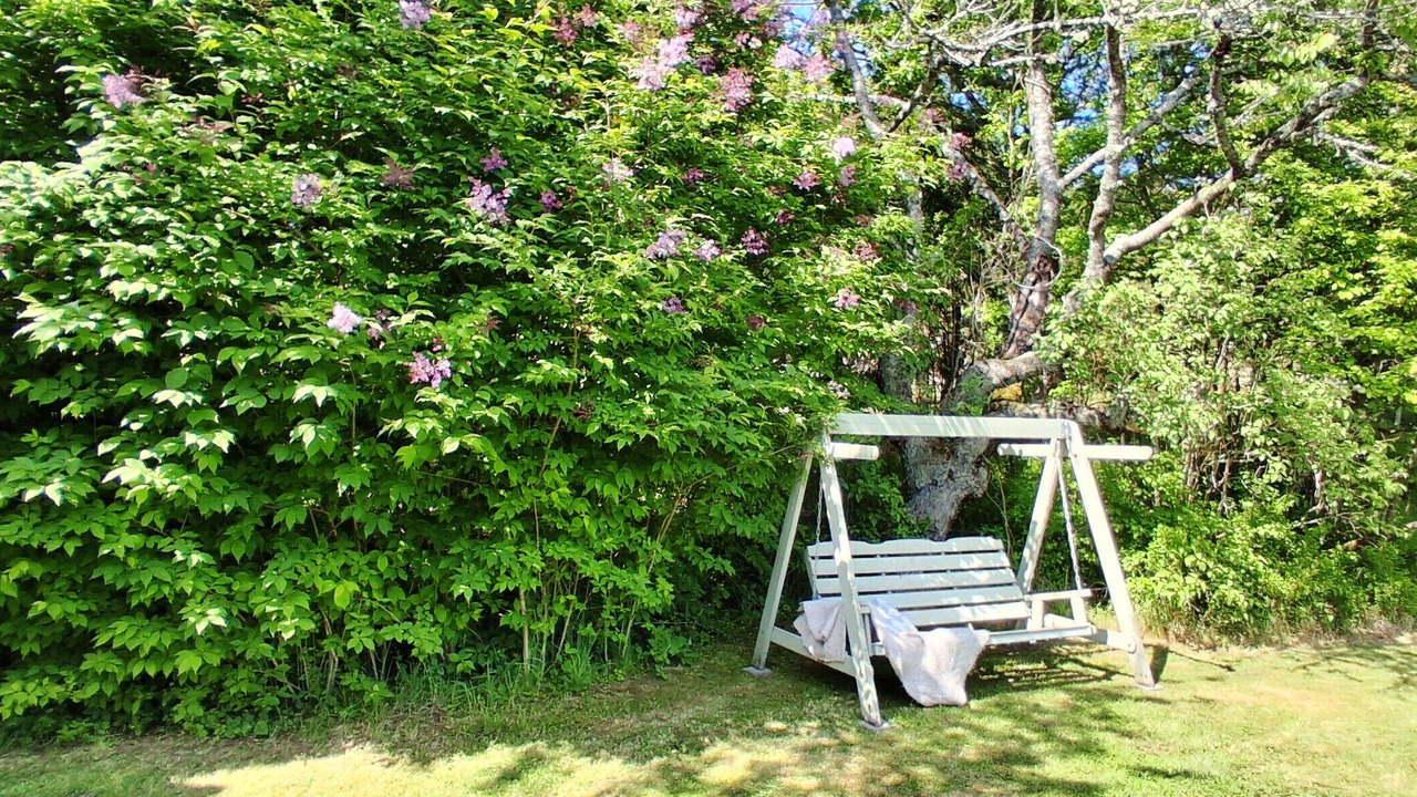 Photo of Outdoor in Henan