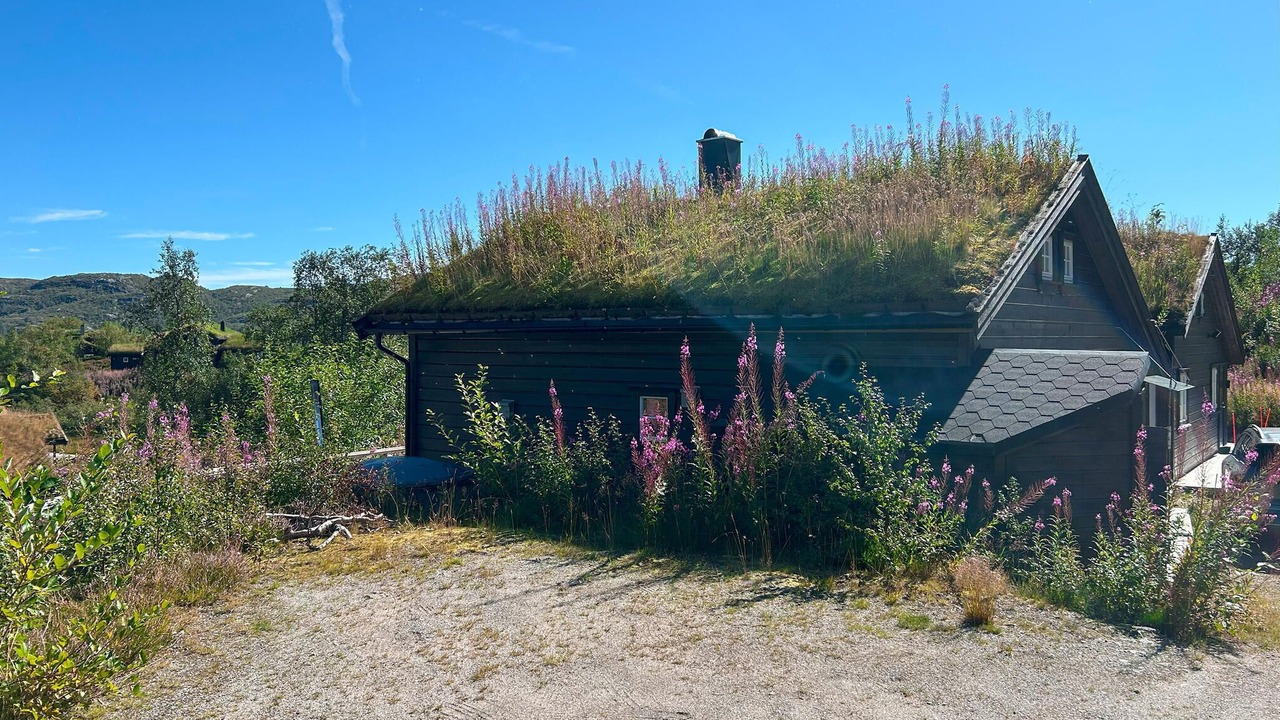 Photo of Others in Ljosland