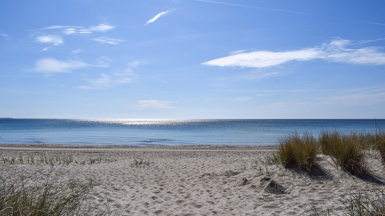 Photo of Others in Nybrostrand