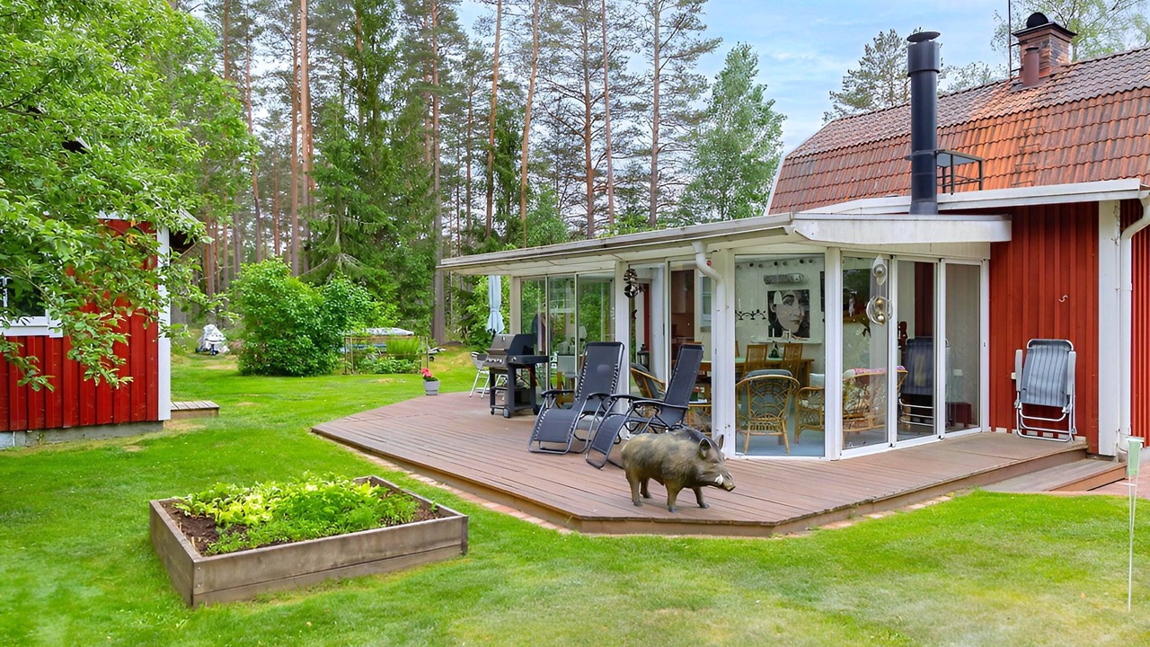 Photo of Outdoor in Rumskulla