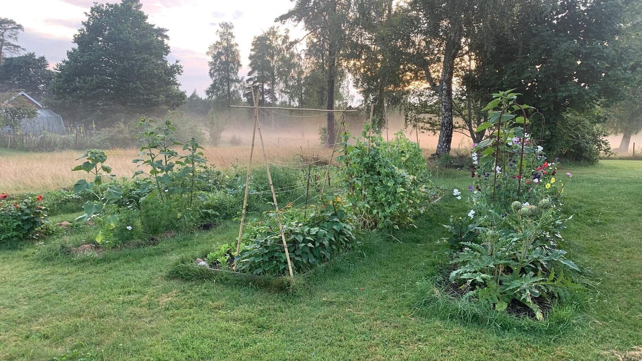 Photo of Outdoor in Flisby
