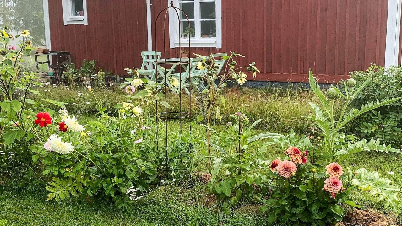 Photo of Outdoor in Flisby