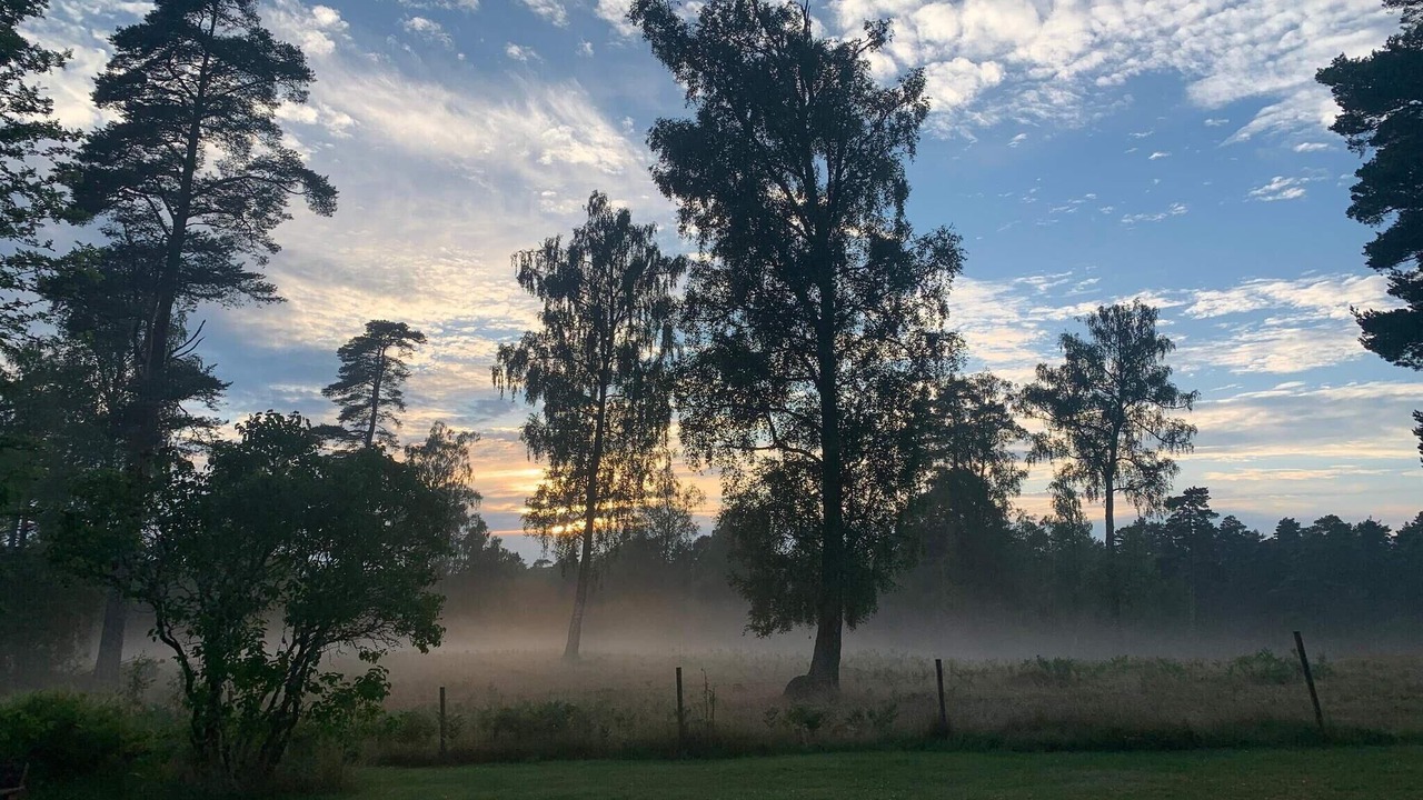 Photo of Outdoor in Flisby