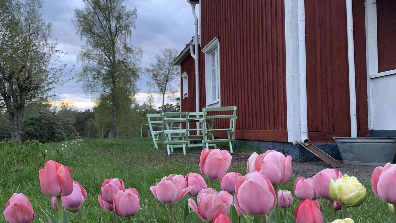Photo of Outdoor in Flisby