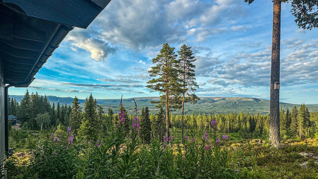 Photo of Others in Ljordal