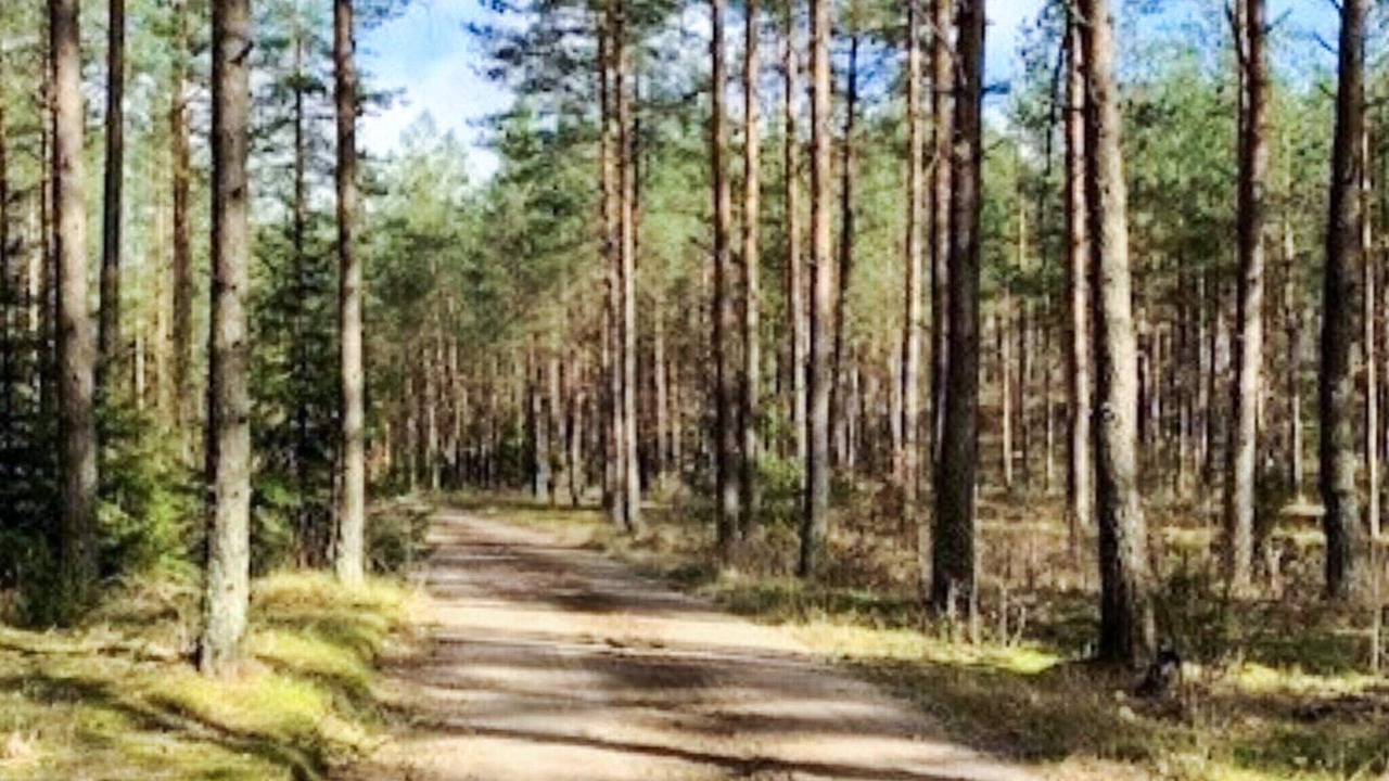 Photo of Outdoor in Tving
