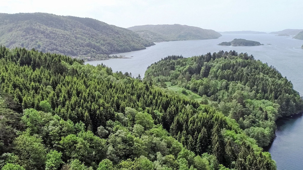Photo of Others in Lyngdal
