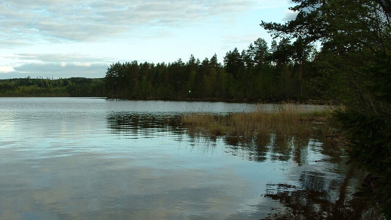 Photo of Others in Gunnarskog