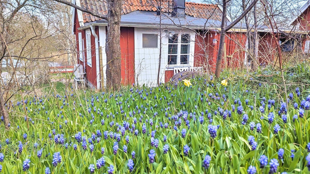 Photo of Outdoor in Oskarshamn Municipality