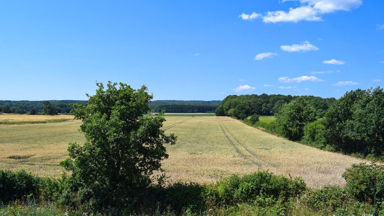 Photo of Others in Solvesborg