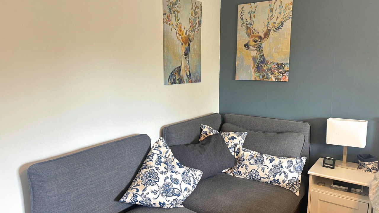 Photo of Livingroom in Monsteras