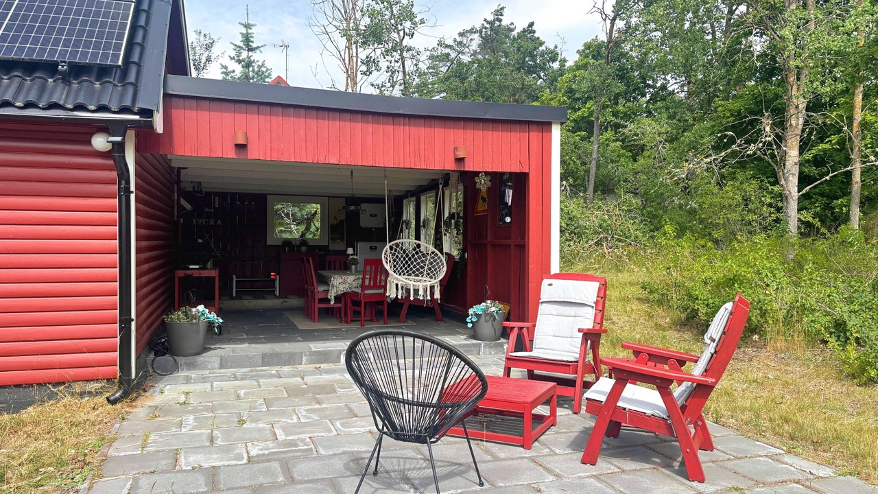 Photo of Outdoor in Monsteras