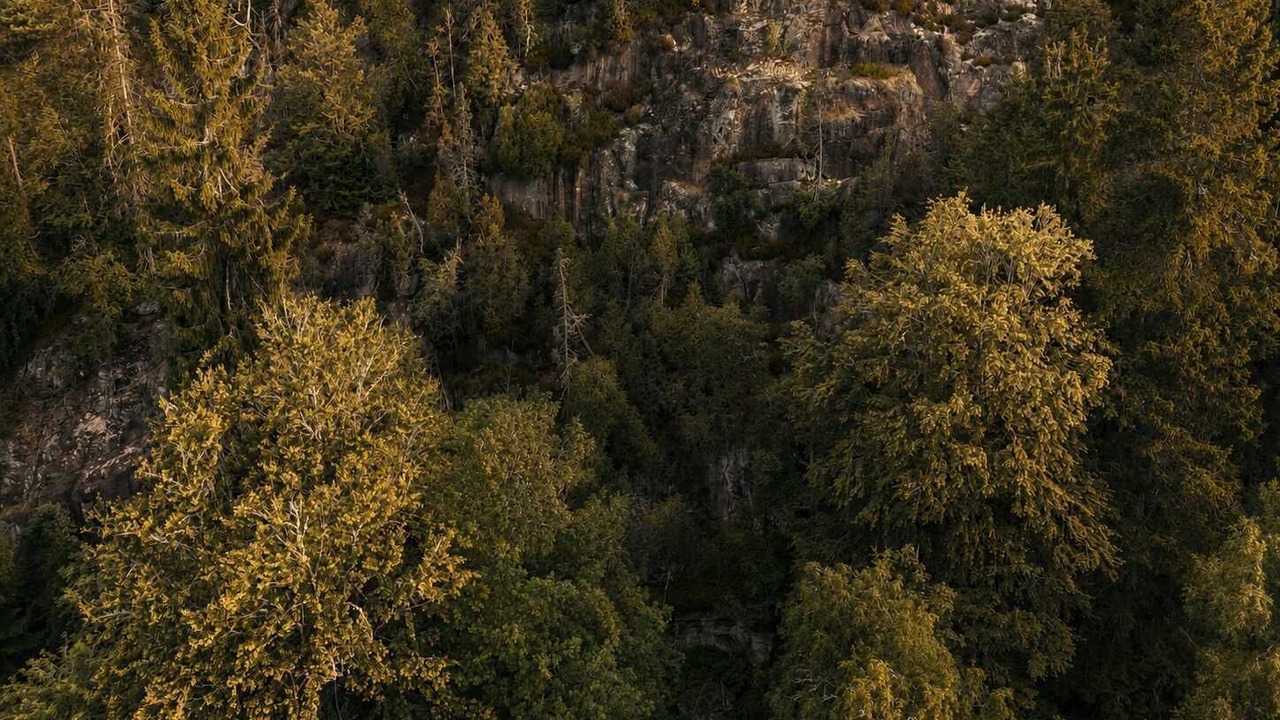 Photo of Others in Tvarred