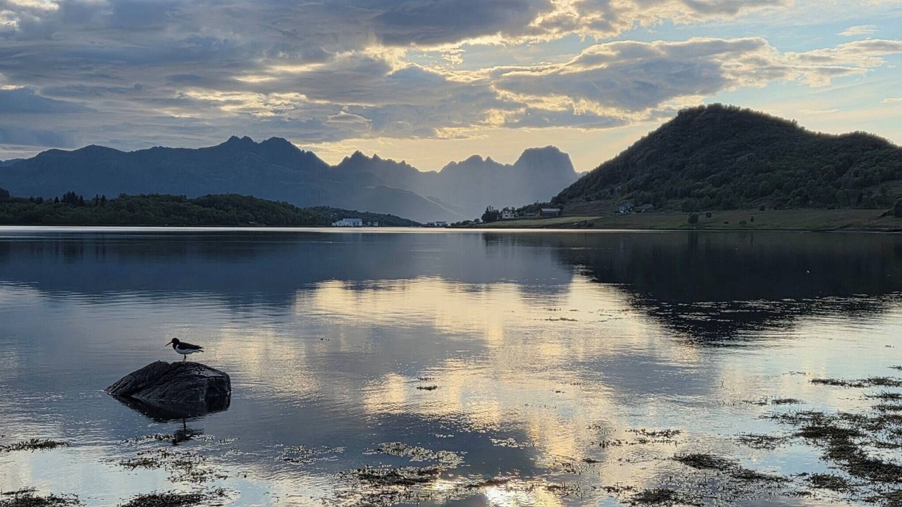 Photo of Others in Sortland