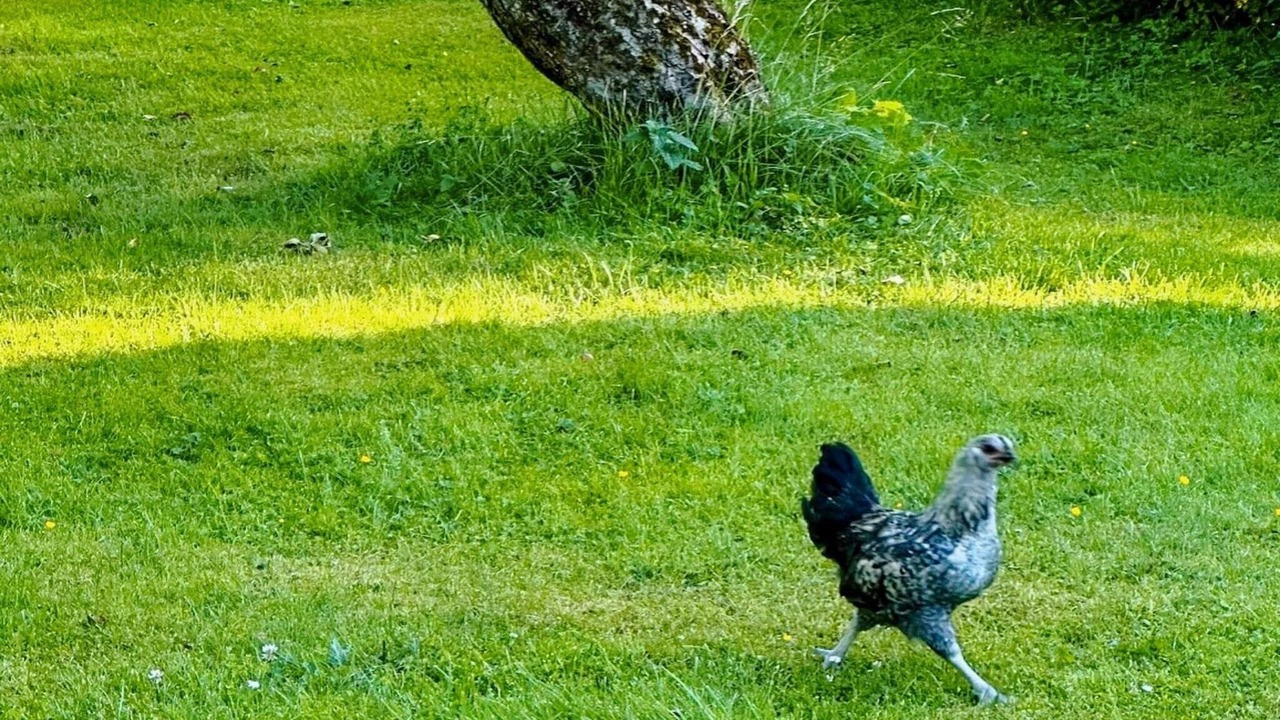 Photo of Outdoor in Osthammar