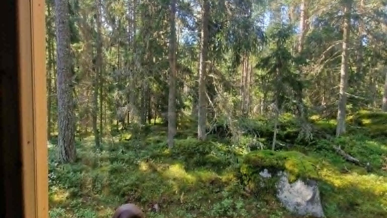 Photo of Others in Korppoo