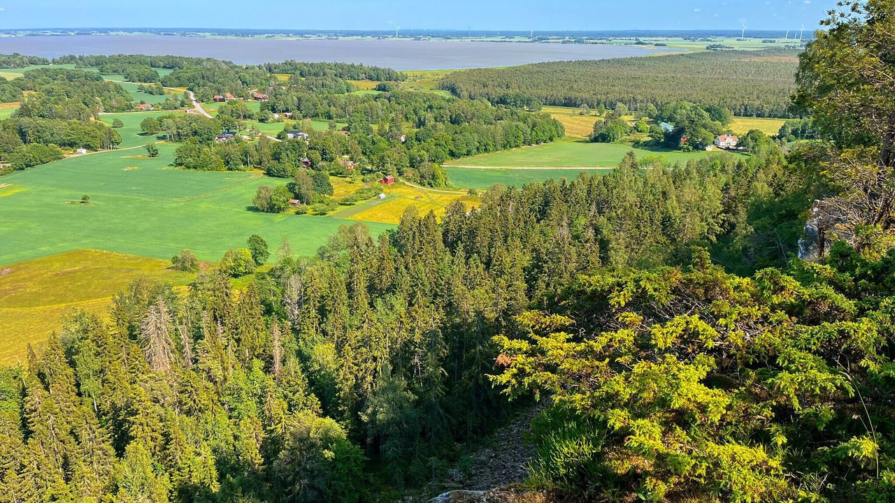 Photo of Others in Vargon