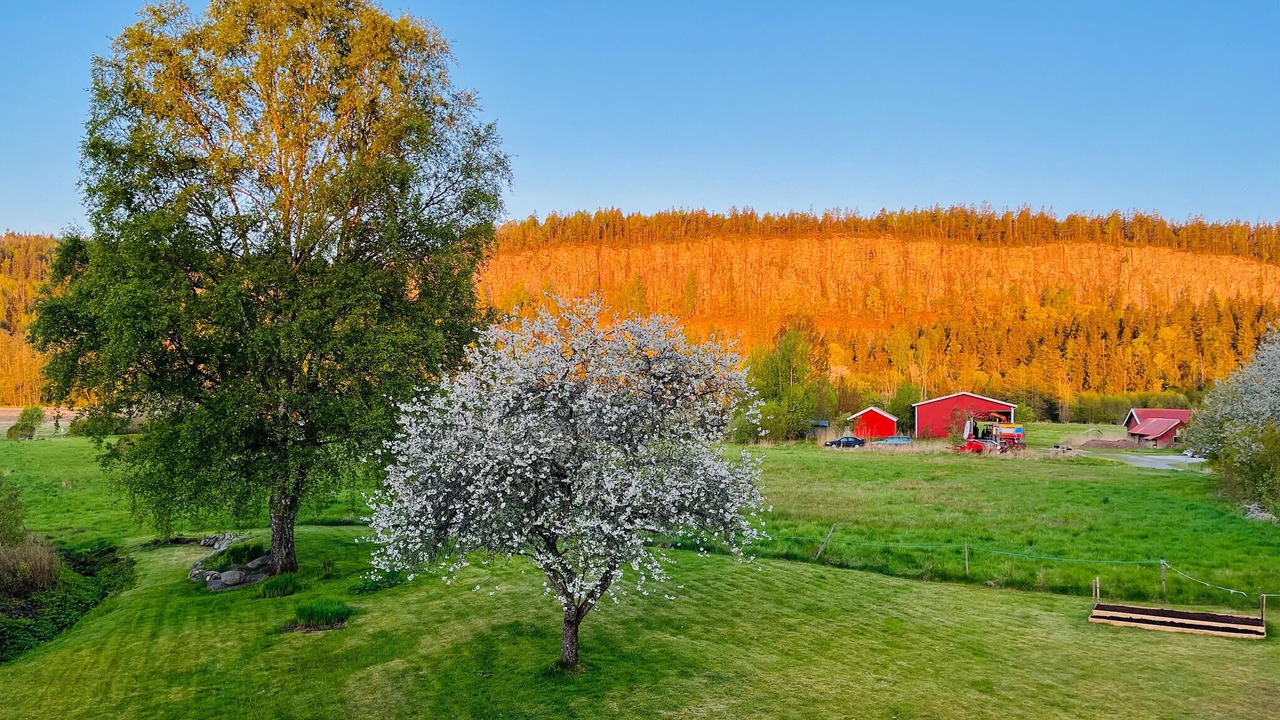 Photo of Others in Vargon