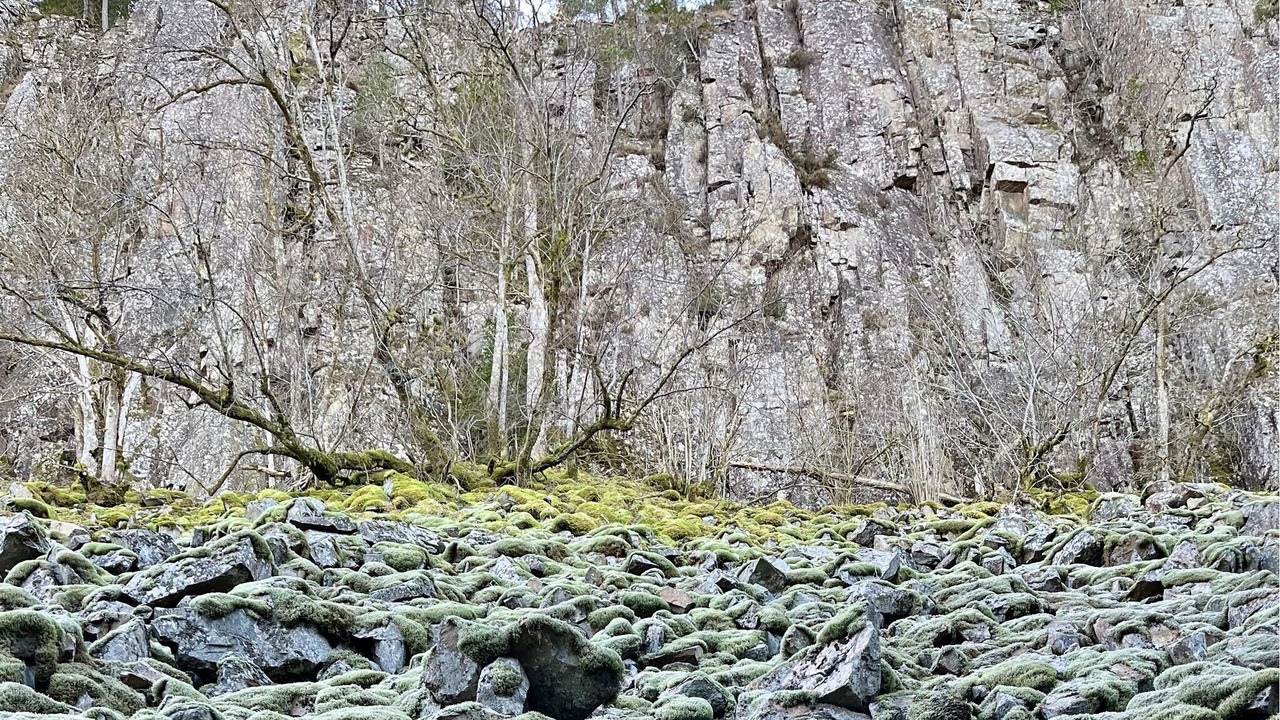 Photo of Others in Vargon