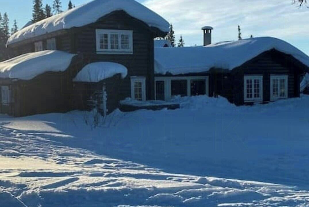 Photo of Outdoor in Are