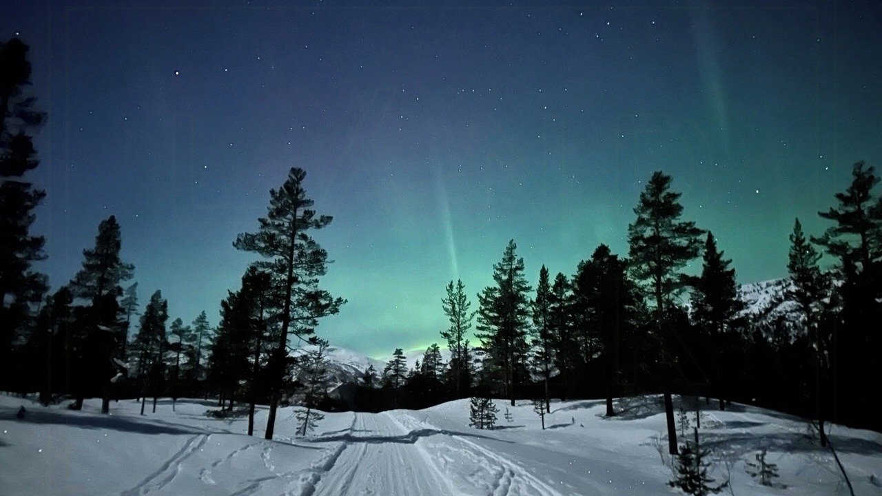 Photo of Others in Stjordal