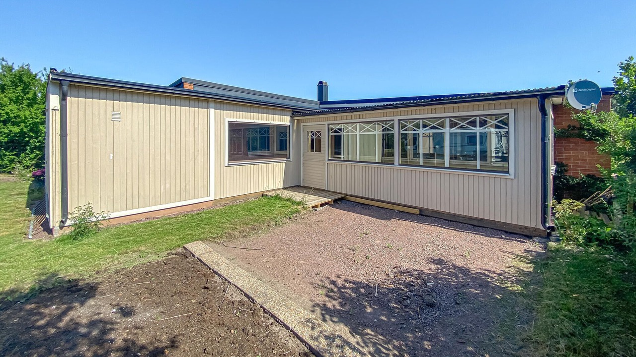 Photo of Others in Monsteras