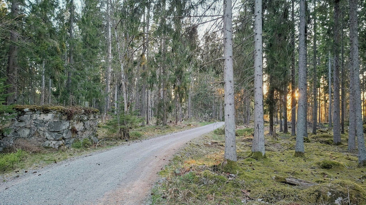 Photo of Others in Urshult