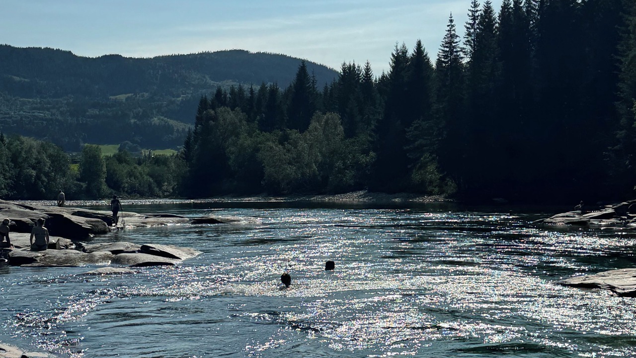 Photo of Others in Myrkdalen