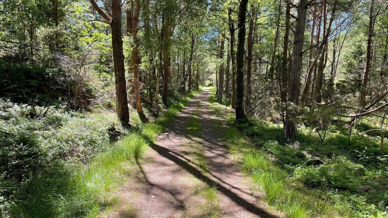 Photo of Outdoor in Gottskar