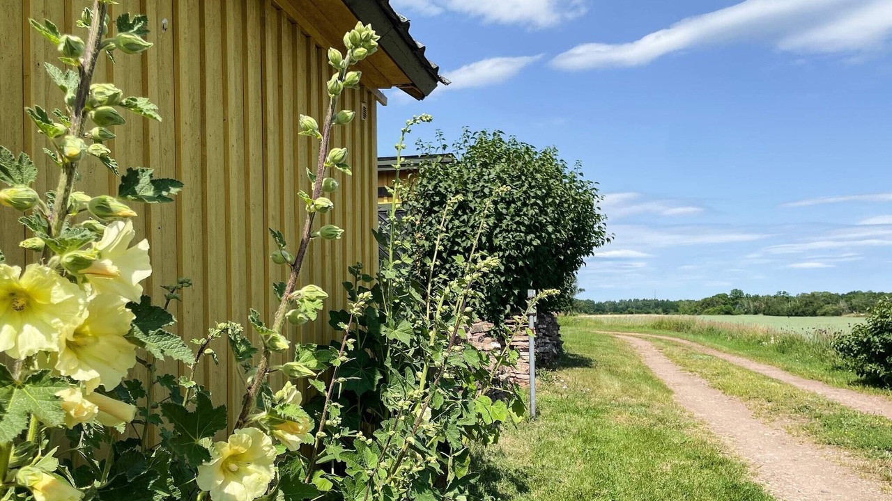 Photo of Outdoor in Farjestaden