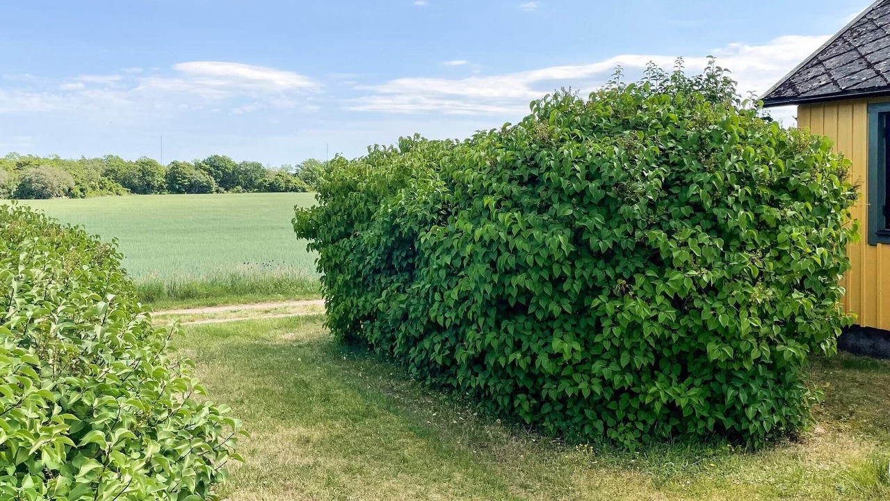 Photo of Outdoor in Farjestaden