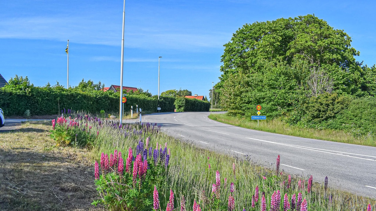 Photo of Others in Simrishamn