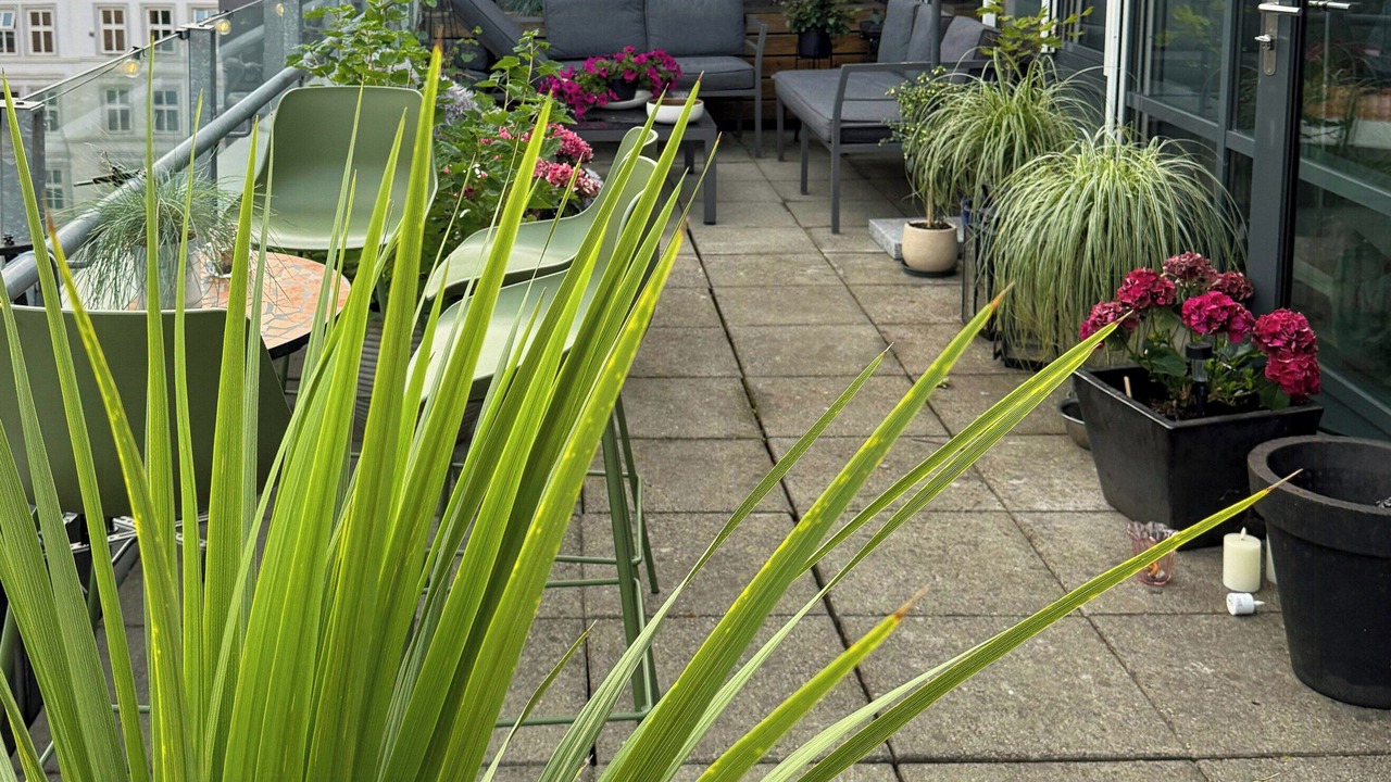 Photo of Patio Balcony in Oslo