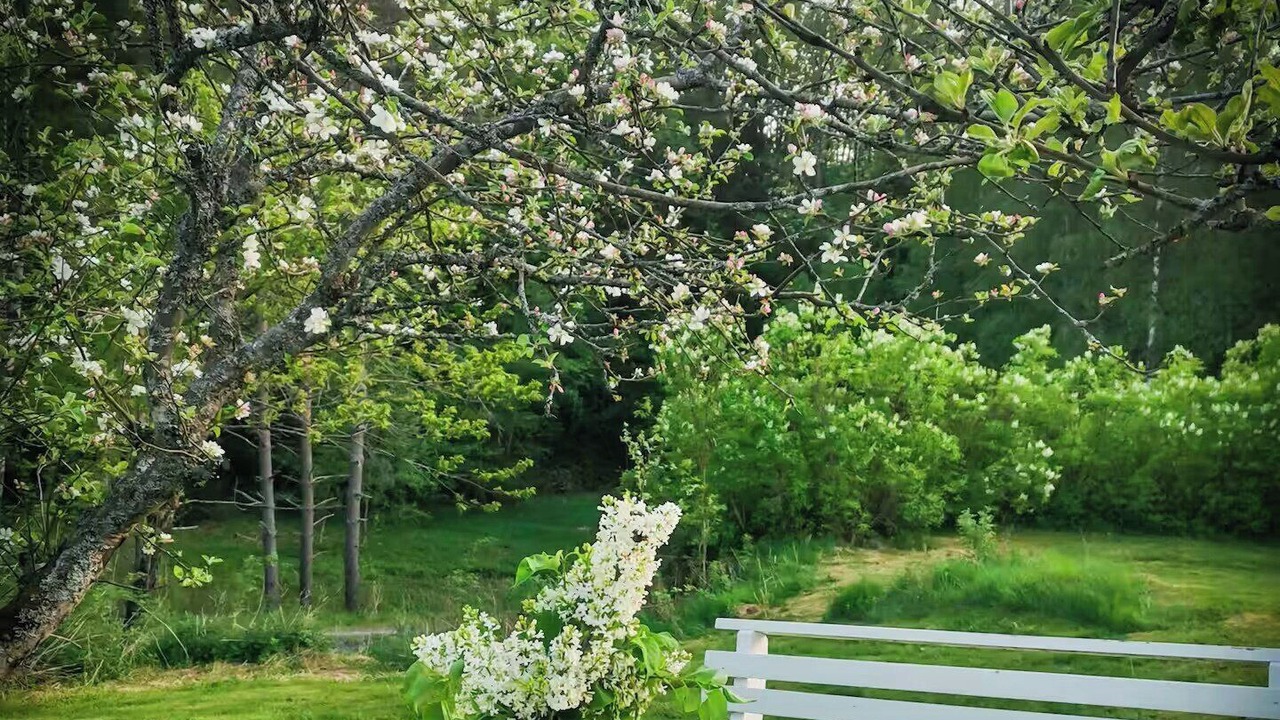 Photo of Outdoor in Bamble