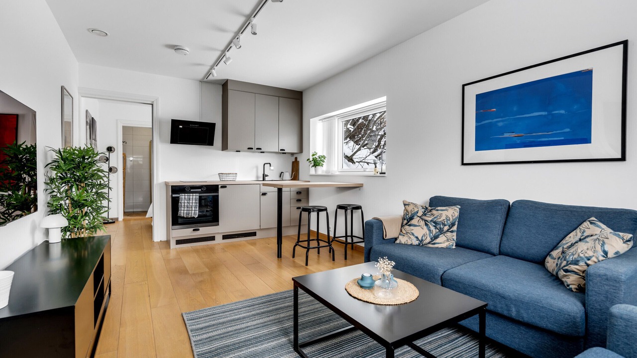Photo of Livingroom in Tromso