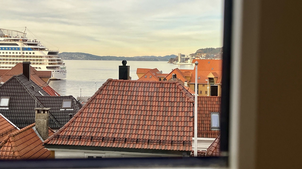 Photo of Others in Bergen City Centre