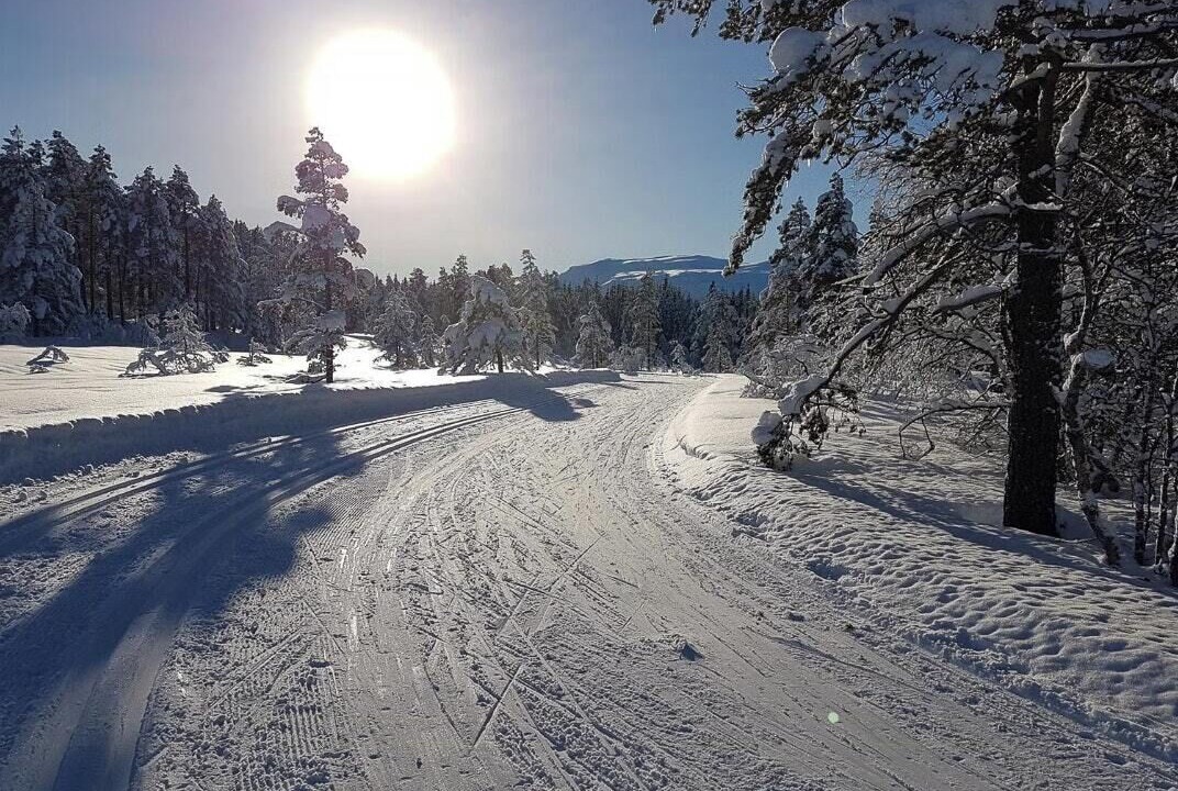 Photo of Others in Voss