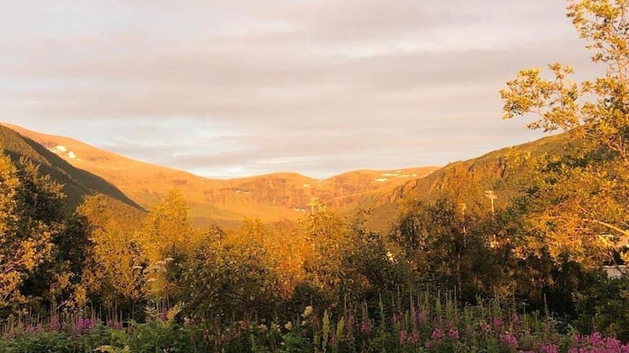 Photo of Others in Tromsdalen