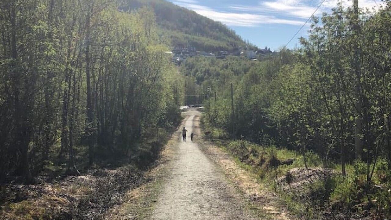 Photo of Others in Tromsdalen
