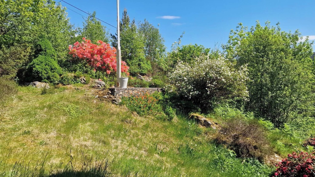 Photo of Outdoor in Lysekloster