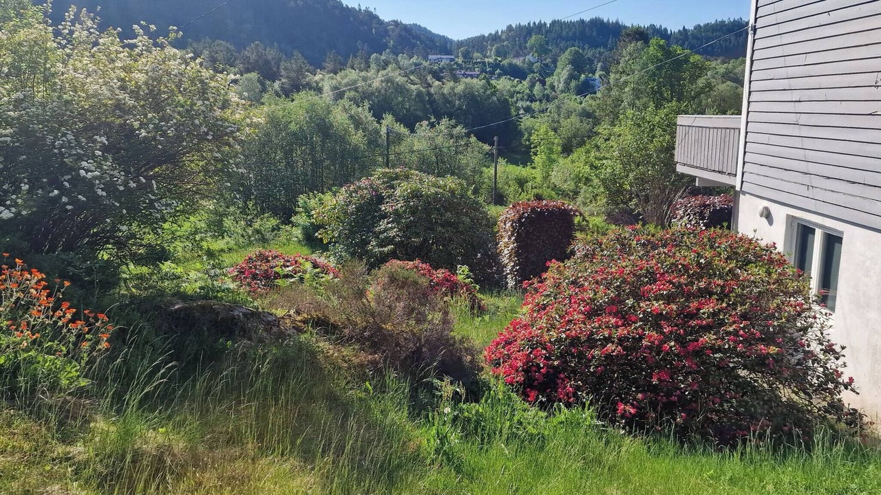 Photo of Outdoor in Lysekloster