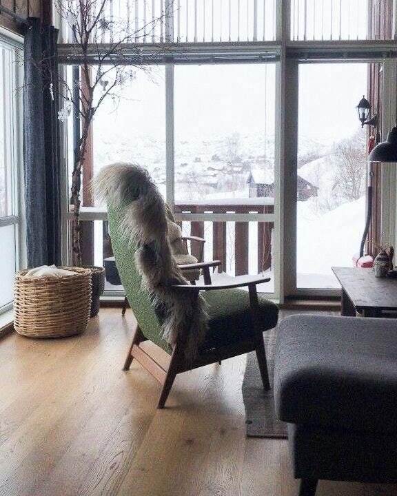 Photo of Livingroom in Vinje